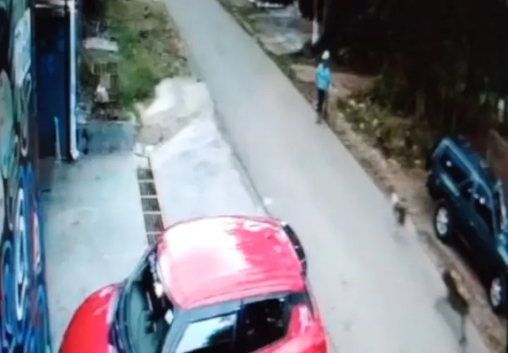 En el video se observa a la señora Teodolinda Rosa Luna, cuando el mismo perro ataca a otro. Foto: Mayra Madrid 