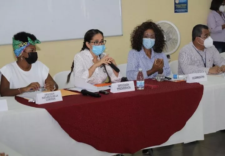 La subcomisión está presidida por la diputada Zulay Rodríguez.