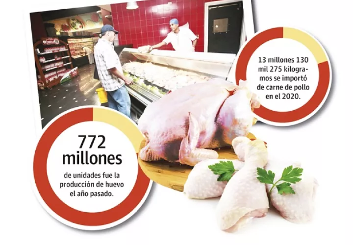 La población industrial avícola se divide en pollos de engorde, gallinas ponedoras y reproductoras.