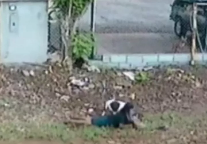 En el video de seguridad de una residencia cercana se aprecia como el perro ataca a la señora al pasar por el lugar. Foto: Mayra Madrid