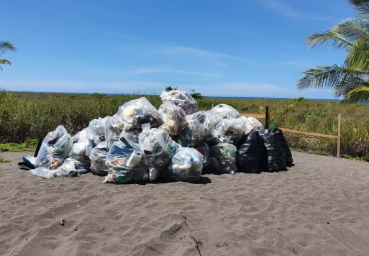 La limpieza se realizó en el área protegida y se extendió a otras áreas.