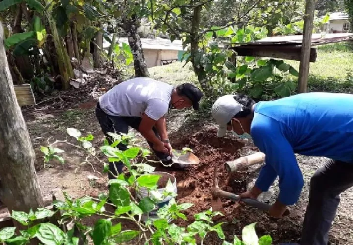 La provincia de Colón busca tener una mayor reactivación económica. Foto: Diomedes Sánchez