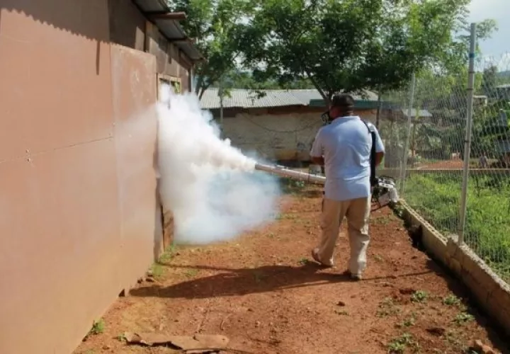 Se recomienda mantener el área limpia y fumigar. 