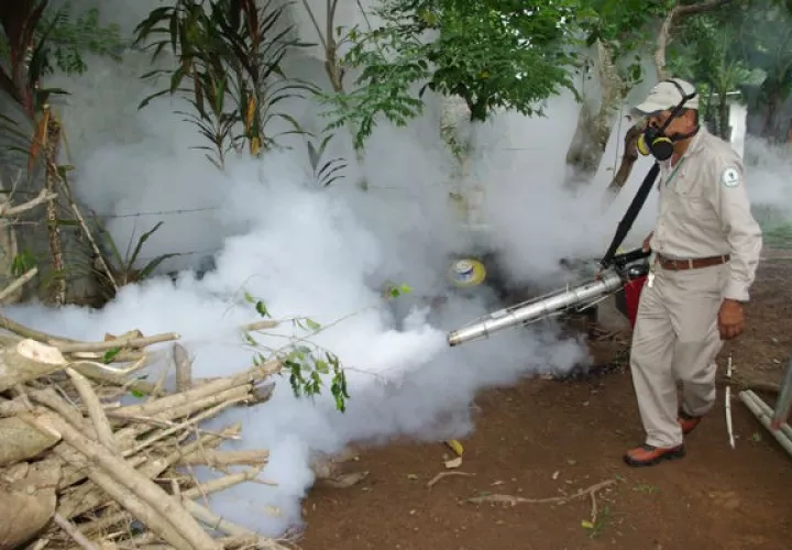 Las nebulizaciones solo eliminan el mosquito adulto.