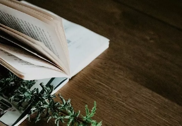 Es organizada por la Cámara Panameña del Libro.  Foto: Pixabay/Ilustrativa
