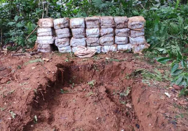 Parte de los decomisos han sido  encontrados enterrados en fosas hechas por los narcotraficantes. Foto: Archivo