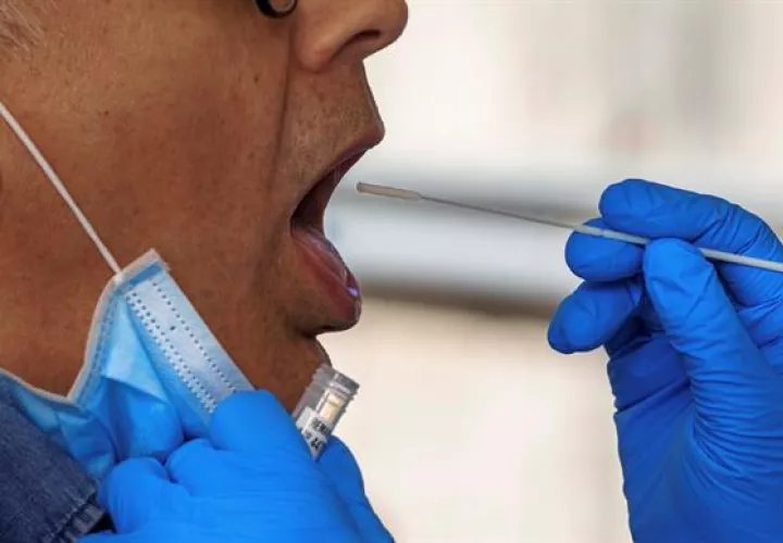 El 79 % de las personas analizadas produjeron anticuerpos en las dos primeras semanas desde el inicio de los síntomas.