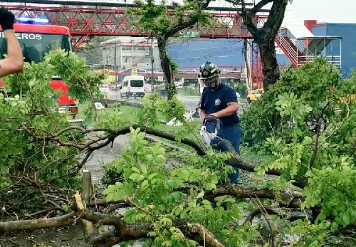 Bomberos atienden caídas de árboles y desprendimiento de techos en Panamá y Panamá Oeste. Foto: Cortesía Bomberos de Panamá