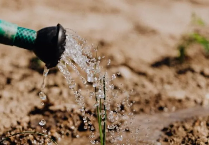 Se evaluarán los daños y pérdidas por desastres en la agricultura. Foto: Ilustrativa / Pexels 
