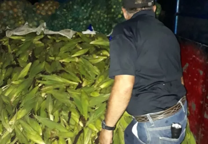 La detección de los nicaragüenses se produjo en el puesto de control de San Isidro. Foto: Mayra Madrid  