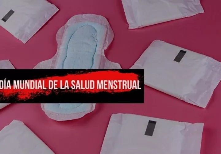 La ONU estima que 1 de cada 10 niñas faltan a la escuela durante la menstruación. Foto: Pixabay