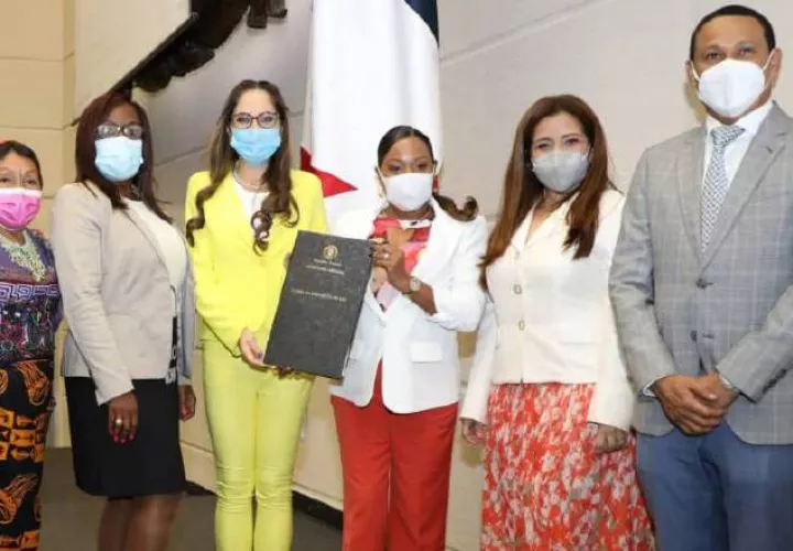 El proyecto de adopciones no tuvo pase directo en la Asamblea y después de ser bajado a segundo debate, fue aprobado el 3 de marzo. Foto: Archivo