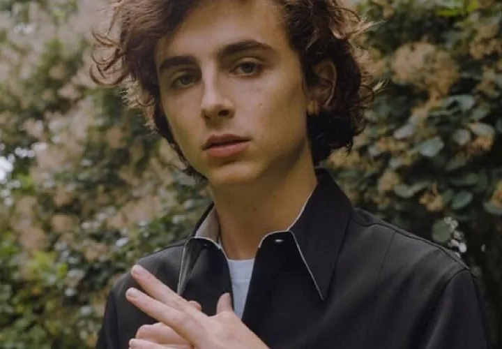 Timothée Chalamet. Foto: Instagram