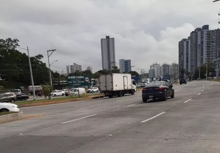 Se están sembrando árboles en las rotondas construidas. Foto: Francisco Paz