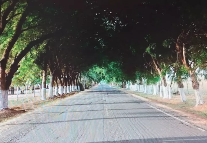 El paseo Blanca Mejía es un área de gran atractivo para locales y visitantes. Foto: Thays Domínguez