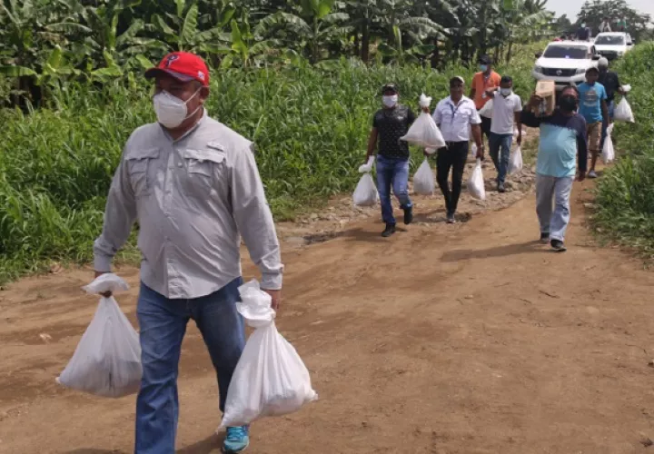 Todas las bolsas con comida tienen guías para rastrearlas. Foto: Cortesía Ministerio de Gobierno
