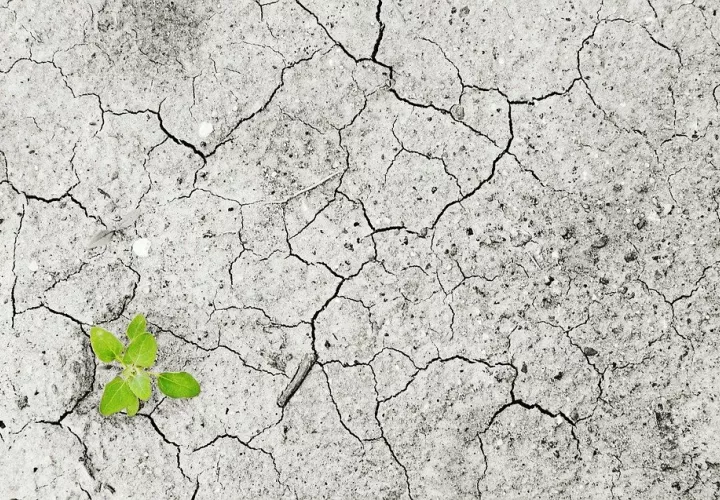 'Actúa ahora' es la campaña de Naciones Unidas destinada a la acción individual frente al cambio climático y a la sostenibilidad. ONU