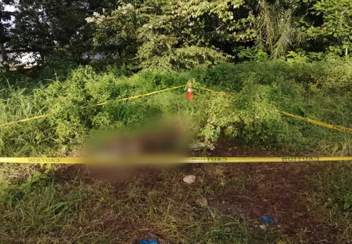 Se informó que el cuerpo de la víctima estaba en medio de un lote baldío. Foto: Mayra Madrid