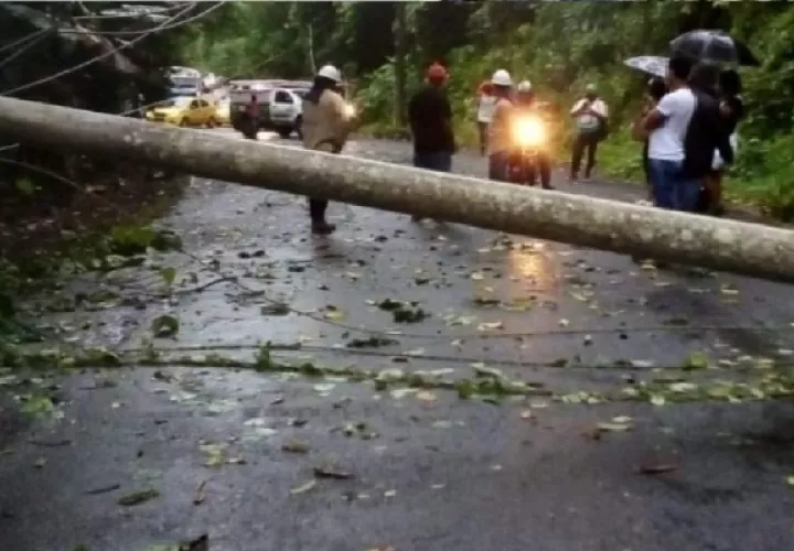 En el área de Sabanitas se cayó un poste del tendido eléctrico, mientras que en la comunidad de Santa Rita Arriba, un árbol cayó sobre el techo de una residencia. Foto: Diomedes Sánchez