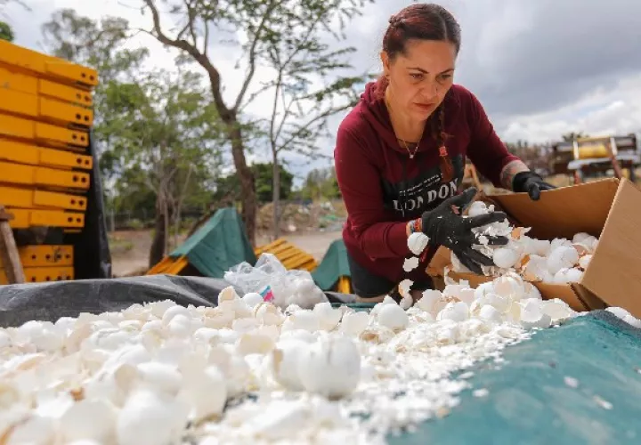 Una organización ambientalista pretende disminuir la contaminación del río Santiago. Foto: EFE