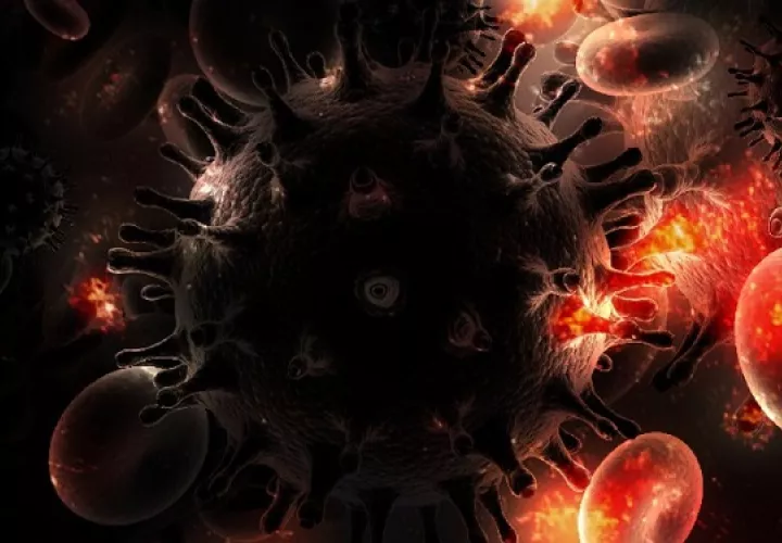 Cuando una personas se infecta de VIH el virus se integra al genoma del huésped en varios tipos de células. Foto: Ilustrativa / Pixabay