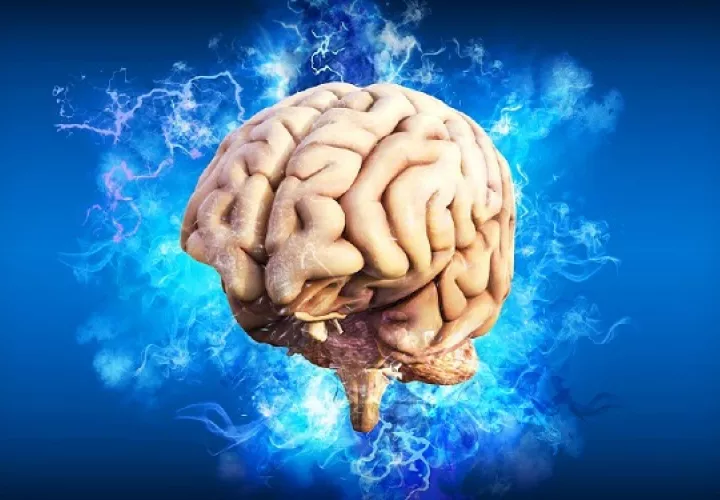 Ejercitarse también puede traer beneficios físicos a su cerebro.  Foto: Ilustrativa /Pixabay