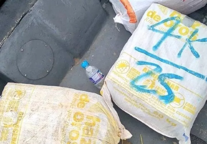El cargamento y la embarcación fueron incautados por las autoridades. Foto: Diomedes Sánchez