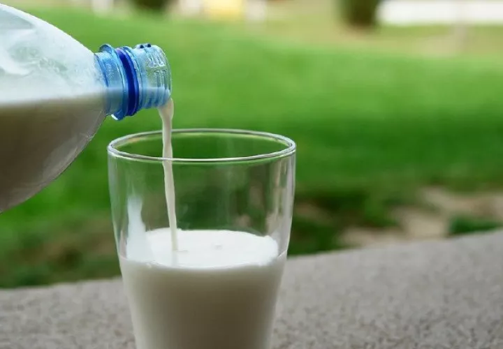 La leche en un alimento completo y equilibrado. Pixabay