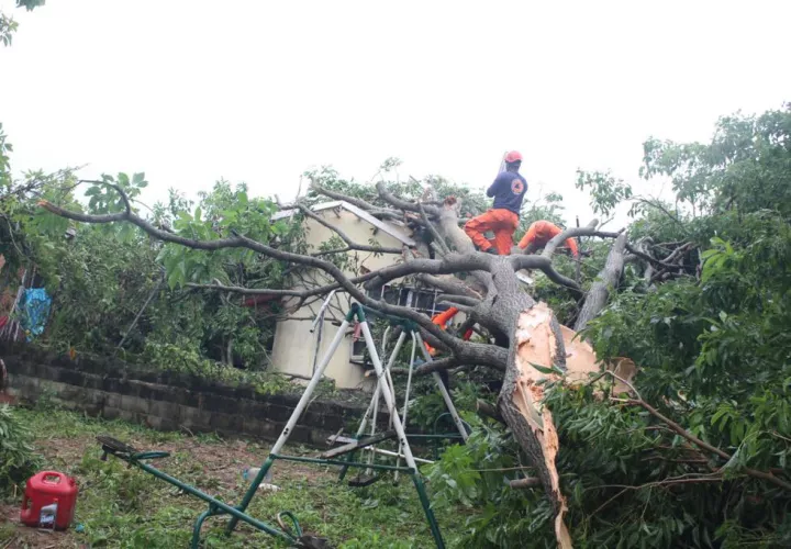 Este año se espera al menos 17 ondas tropicales en la región. Foto: Cortesía/Sinaproc