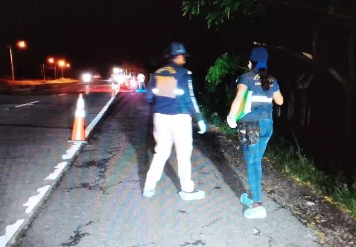 El camión quedó dentro de un potrero luego de destruir  parte de la cerca de alambre de púas. Foto: Eric A. Montenegro