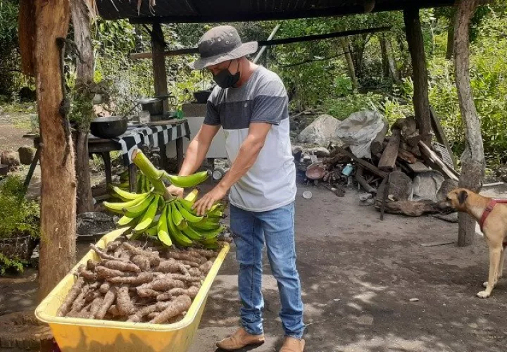 David y sus hermanos cultivan la tierra y venden los productos a los visitantes. AurelioMartínez