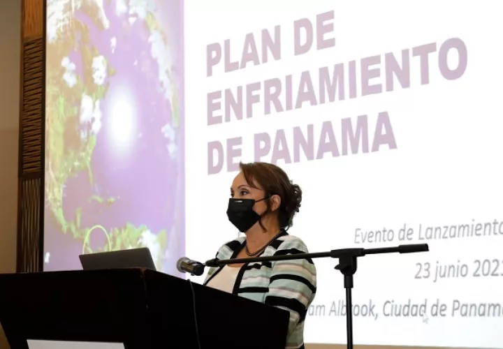Aleida Ferreyra es la representante residente a.i. del PNUD en Panamá. Foto: Cortesía PNUD