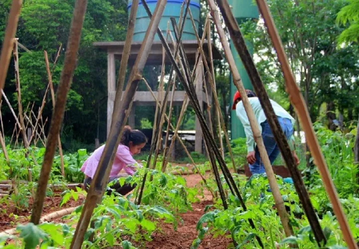Desafíos globales actuales que plantea la pandemia. Foto: Cortesía