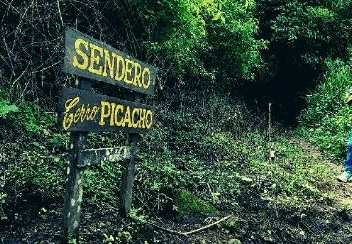 El recorrido por el Cerro Picacho puede tomar unos 40 minutos a una hora. Foto: Miriam Lasso