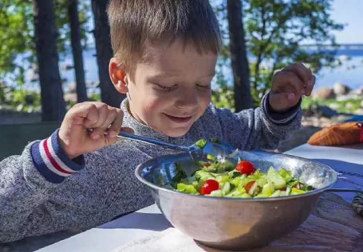Los niños pueden ser muy selectivos a la hora de comer.  Foto: Pixabay