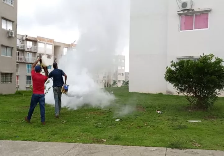 Además de las zonas residenciales y áreas públicas, se está desinfectando en cada una de las piqueras de buses y taxis del distrito.Foto: Eric Montenegro