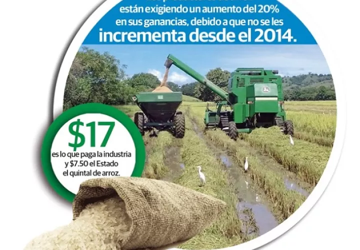 Los productores de arroz le dieron un periodo de una semana al MIDA para que se les otorgue el aumento del subsidio.