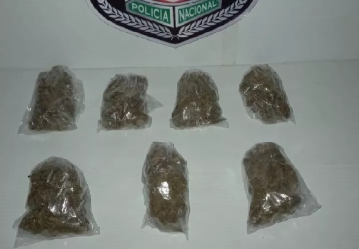 Las autoridades encontraron siete bolsitas con presunta marihuana, en el vehículo en el que viajaba un menor de edad.  Foto: José Vásquez