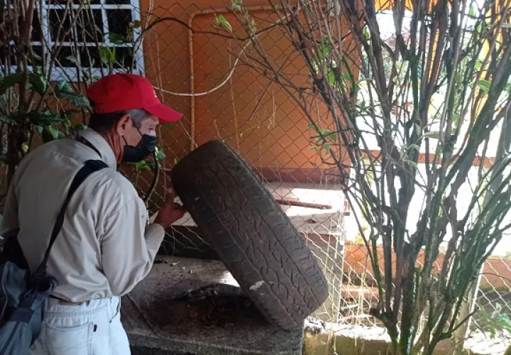 El Minsa pide a la población que elimine los criaderos del mosquito Aedes Aegypti. Foto: José Vásquez