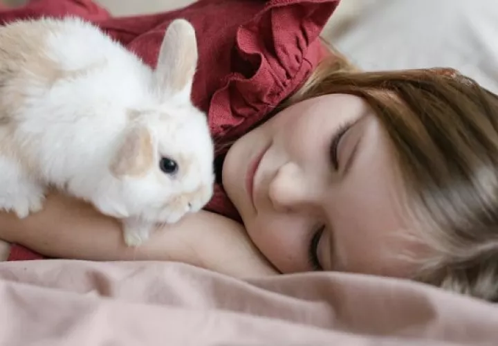 Los conejos son cariñosos y un excelente compañero para los niños. Foto: Ilustrativa / Pexels