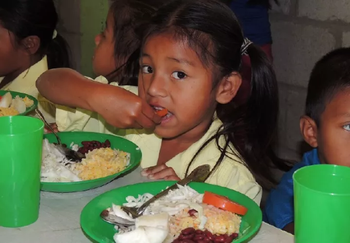 En los últimos meses se ha trabajado en fortalecer la educación alimentaria y nutricional en Mesoamérica. Cortesía