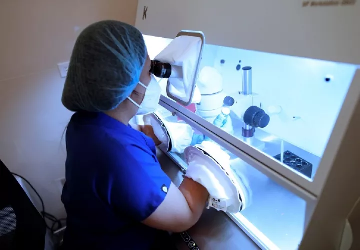 Personal técnico trabaja con óvulos en el laboratorio de la clínica Panama Fertility. Foto: EFE 