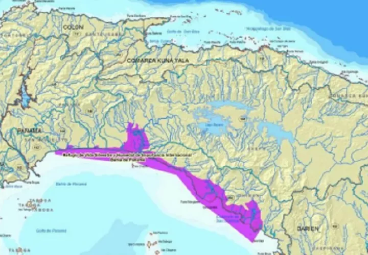 Este es el área que abarca el Humedal Bahía de Panamá, que se extiende desde Juan Díaz hasta el estero de Chimán, cerca a Darién.  Foto:Cortesía