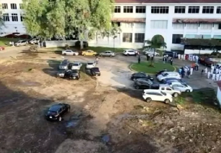 El proyecto del Hospital del Niño registra el remozamiento de los jardines. Archivo