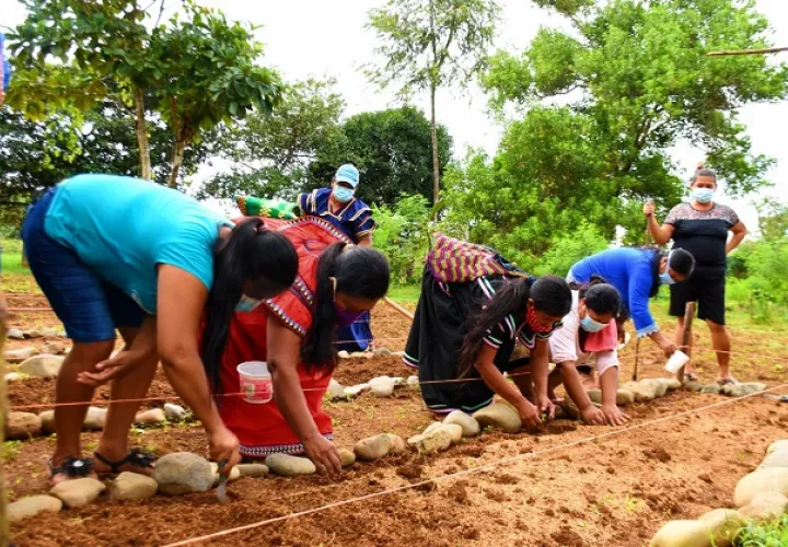 Las mujeres que acompañan a Jeny Jaramillo en la “Granja Las Delicias" son oriundas de la comarca Ngäbe-Buglé. Foto: Cortesía Mides