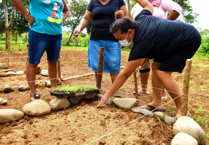 Jeny Jaramillo no puede ver, pero sabe con exactitud cuándo será la próxima cosecha. Foto: Cortesía Mides