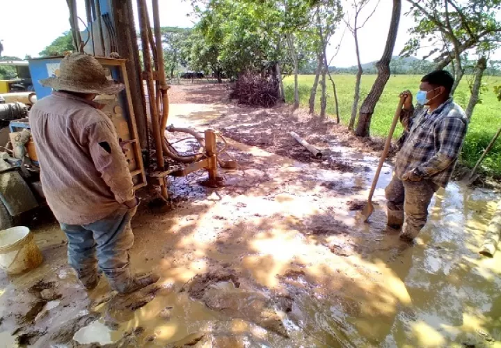 Este proyecto forma parte de los planes de mejora en el sector agrícola del país que implementa el Mida.  Foto: Cortesía Elena Valdéz