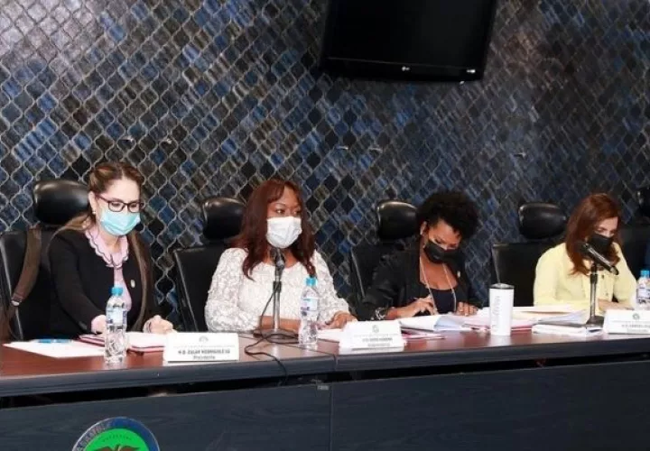 Comisión de la Mujer, la Niñez, la Juventud y la Familia, de la Asamblea Nacional.