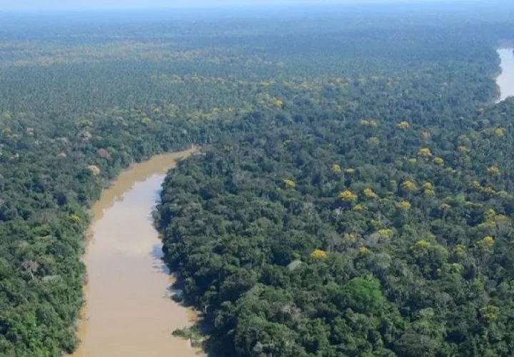 Río Algodón que fluye en un bosque de la cuenca del Amazonas en el remoto rincón noreste de Perú.  Foto: Cortesía / Álvaro del Campo