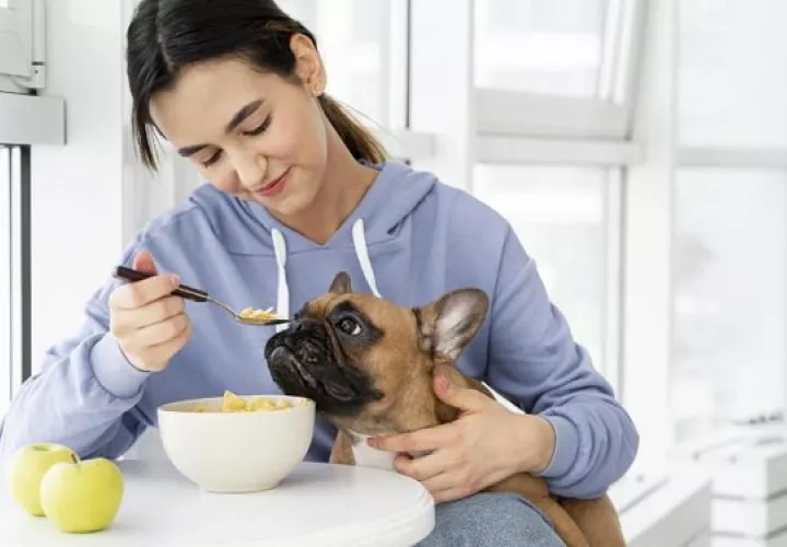 Algunos alimentos pueden ser tóxicos para su organismo. Foto: Ilustrativa / Freepik